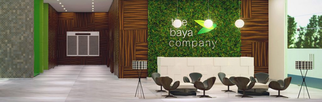 the baya company