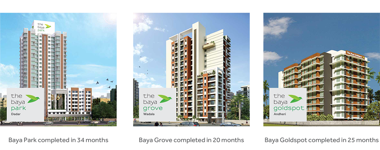 The Baya Company Completed Projects