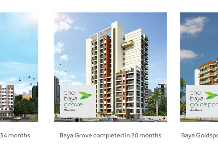 The Baya Company Completed Projects